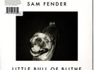 SAM FENDER LITTLE BULL OF BLITHE / WILD GREY OCEAN RECORD STORE DAY 2023 WHITE