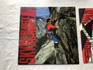 David Lee Roth Skyscraper Warner Bros. WX 140 Promo label LP Album + Inner Lyric