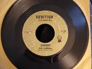WARNING by The HUMANS - VG- 45 - Audition 6109 - Garage - TEENBEAT MAYHEM #128