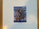 Talk Talk Spirit of Eden First UK pressing VG+/VG+