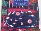 POPOL VUH Aguirre VINYL LP  2018 issue + poster