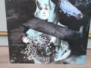 The Church Remote Luxury LP 1984 , Starfish, Heyday Vinyl
