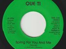 BLUE VELVET Spring For Me And You QUE TI detroit modern sweet soul 45