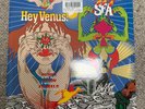 Super Furry Animals Hey Venus ORIGINAL 2007 UK 1st Press LP Rough Trade PRISTINE