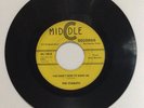 The Starlets Willie Martinez You Don't Seem To Want Me Guitar Twist Chicano Soul