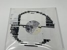 ECCO2k E Vinyl LE 2500 2nd Pressing