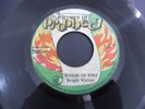 Bright Wynter - Words Of Fire 1975 JAMAICA 45 FULFILMENT OF PROPHECY DUB/ROOTS