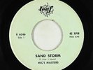 Surf Inst. 45 - Mic's Masters - Sand Storm/Rock-N-Round - Leaf - mp3