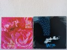 Siouxsie & The Banshees Dazzle and the thorn vg 12” UK Vinyl Robert Smith