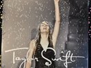 Taylor Swift Should've Said No Single 7