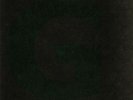 LEVAN, Larry - The Final Night Of Paradise: Disc 5 Of 5 - Vinyl (12
