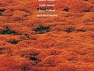 Kenny Wheeler Gnu High (Vinyl) 12