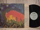 MEAT PUPPETS II LP