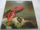GENTLE GIANT   OCTOPUS ** 1972 German 1st Swirl VERTIGO LP PHILIPS.
