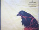 Death Cab For Cutie - Transatlanticism – Vinyl LP (Sealed)