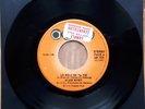 ALAIN RIVEY Le rôle de ta vie BASHUNG Une Grande fille VOULZY RARE 45T PROMO