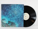 Love Out Here Blue Thumb Records Inc BTS-8709 Vinyl Record 12