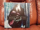 DEAD OR ALIVE ( Pete Burns) - FRAGILE -  2 x LP-  CLEAR VINYL - UNPLAYED