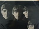 THE BEATLES With The Beatles Vinyl LP Rock