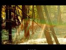 Childish Gambino – Camp - Vinyl 2 LP 180 gram NEW Sealed