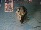 THE EAGLES - Greatest Hits 1971-1975 - New Sealed Vinyl LP Record Album vintage