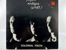 Young Marble Giants - Colossal Youth Vinyl Record 1980 Rough Trade Pressing