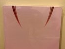 BLACKPINK - Born Pink Limited Edition Pink Vinyl LP Box Set SHIPS NOW