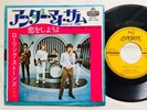 The Rolling Stones 