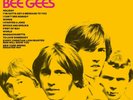 Bee Gees BEST OF BEE GEES (602508639012)12 Essential Early Hits COLORED VINYL LP