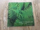 EDGAR FROESE - YPSILON IN MALAYSIAN PALE - BRAIN - GERMANY - VINYL ORIGINAL  LP