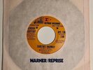 Gordon Lightfoot / Carefree Highway & Seven Island Suite / 1974 Promo 45 Mint