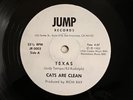 Cats Are Clean 7” rare SF bay area KBD new wave synth punk obscure
