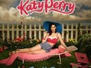 Katy Perry - One Of The Boys Vinyl 2LP NEU us0750006