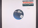 ANYTHING BOX: living in oblivion EPIC 12
