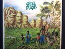 Steel Pulse ‎– Tribute To The Martyrs, UK pressing 1979, Island Records (EX+)