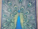 The Bluetones LP Expecting To Fly UK 1996 Numbered 1st Press INCREDIBLE COPY