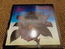 THIN LIZZY - Black Rose VINYL LP ALBUM (1979) Vertigo 9102 032