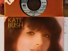 KATE BUSH THE MAN WITH THE CHILD .. 7
