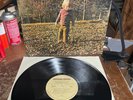 The Allman Brothers Band Brothers and Sisters Vinyl LP (1973) 1st Press EXC/VG