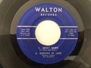 Killer Indiana Rockabilly 45 VAN BROTHERS Servant Of Love WALTON  hear