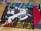 GORILLA BISCUITS START TODAY LP hardcore youth of today warzone burn judge NYHC