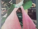 Sylver Lee Cole - Images Of Love (LP, Album) Very RARE - Sealed NEW CR15a