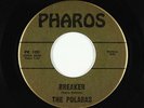 Surf Inst. 45 - Polaras - Breaker/Cricket - Pharos - VG++ mp3