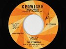 Surf Inst. 45 - Pyramids - Contact/Pressure - Cedwicke - VG+ mp3