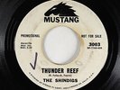 Surf Inst. 45 - Shindigs - Thunder Reef - Mustang - mp3 - Bobby Fuller