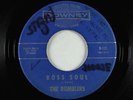 Garage Surf Inst. 45 - Rumblers - Boss Soul - Downey - mp3