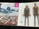 Placebo - Never Let Me Go - Limited Edition Pink Vinyl - with signed photo