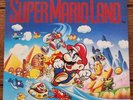 Super Mario Land original vinyl Ambassadors of Funk Mc Mario Bros. 7