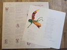Incredible String Band 2x LP Wee Tam UK Elektra 1st Press & INSERT SUPERB COPY
