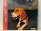 Himiko Kikuchi FLYING BEAGLE LP Record Free shipping From Japan